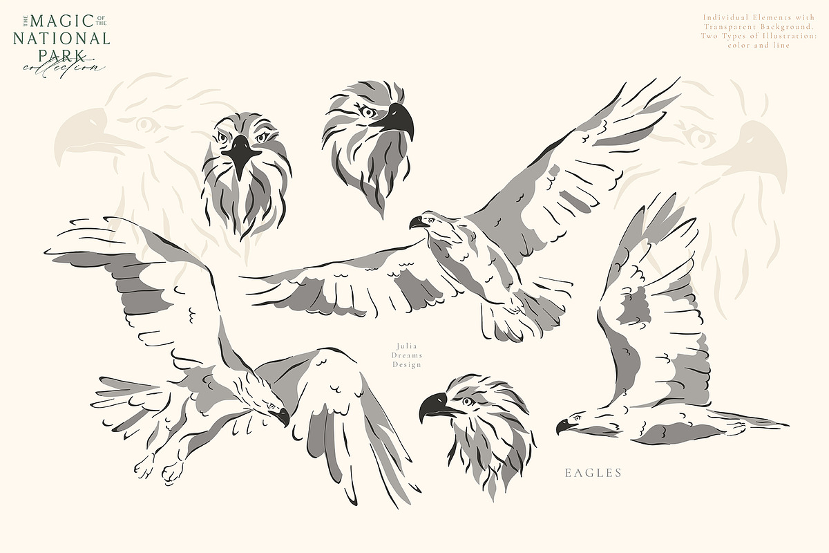 The Magic of the National Park, an Animal Illustration by Julia Dreams