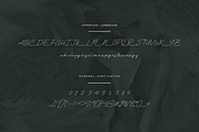 Thalliant Font, a Handwritten Font by albert_kalingga (Thumbnail 4 of 5)