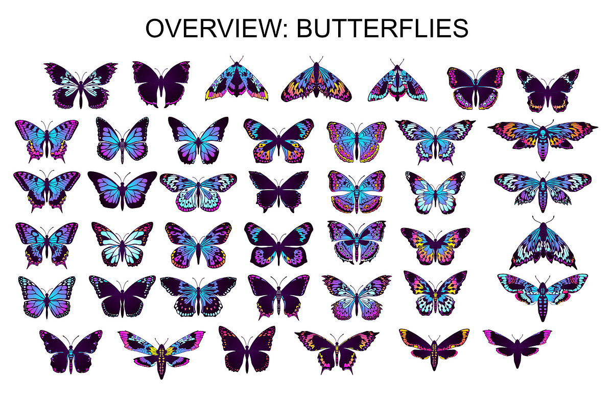 Wings & Butterfly(SVG, PNG Brushes), a Brush Add-On by xresch (Photo 13 of 22)