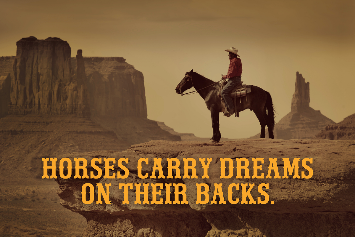 Western Groove - Western Font, a Serif Font by Sronstudio (Photo 10 of 12)