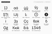 TT Commons Pro Basic, a Sans Serif Font by TypeType (Thumbnail 14 of 15)