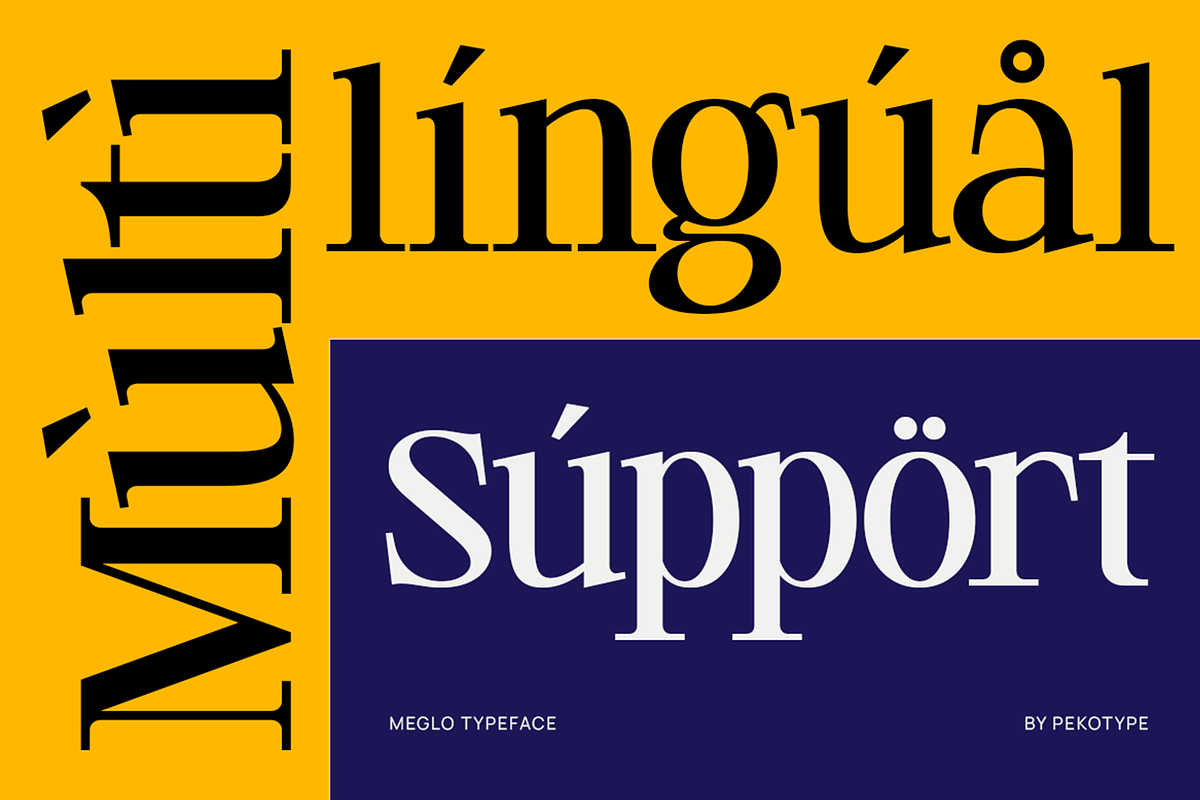 Meglo - Elegant Modern Serif Font, a Serif Font by Pekotype (Photo 5 of 15)