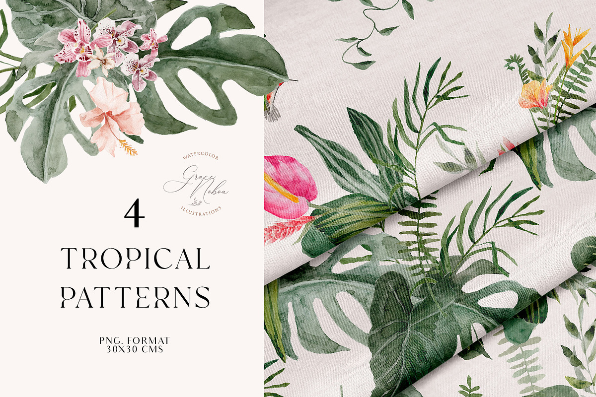 TROPICAL SUMMER- Exotic flora set, a Decorative Illustration by Grace Noboa Illustrations (Photo 7 of 10)