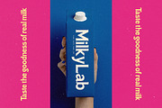 Morning Breakfast Modern Serif, a Serif Font by timelesstype.co (Thumbnail 2 of 15)