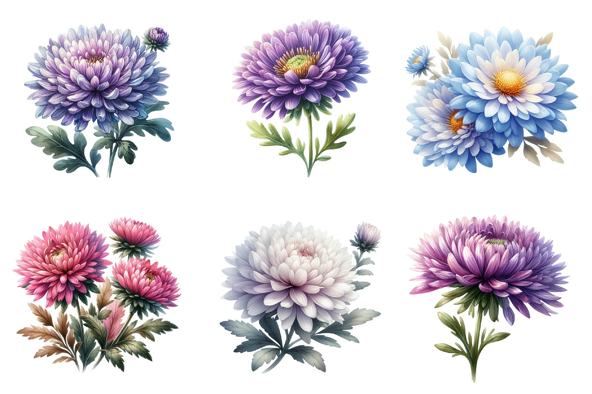 Aster Flower Watercolor Clipart, an Illustration by SinaCreation (Photo 3 of 5)