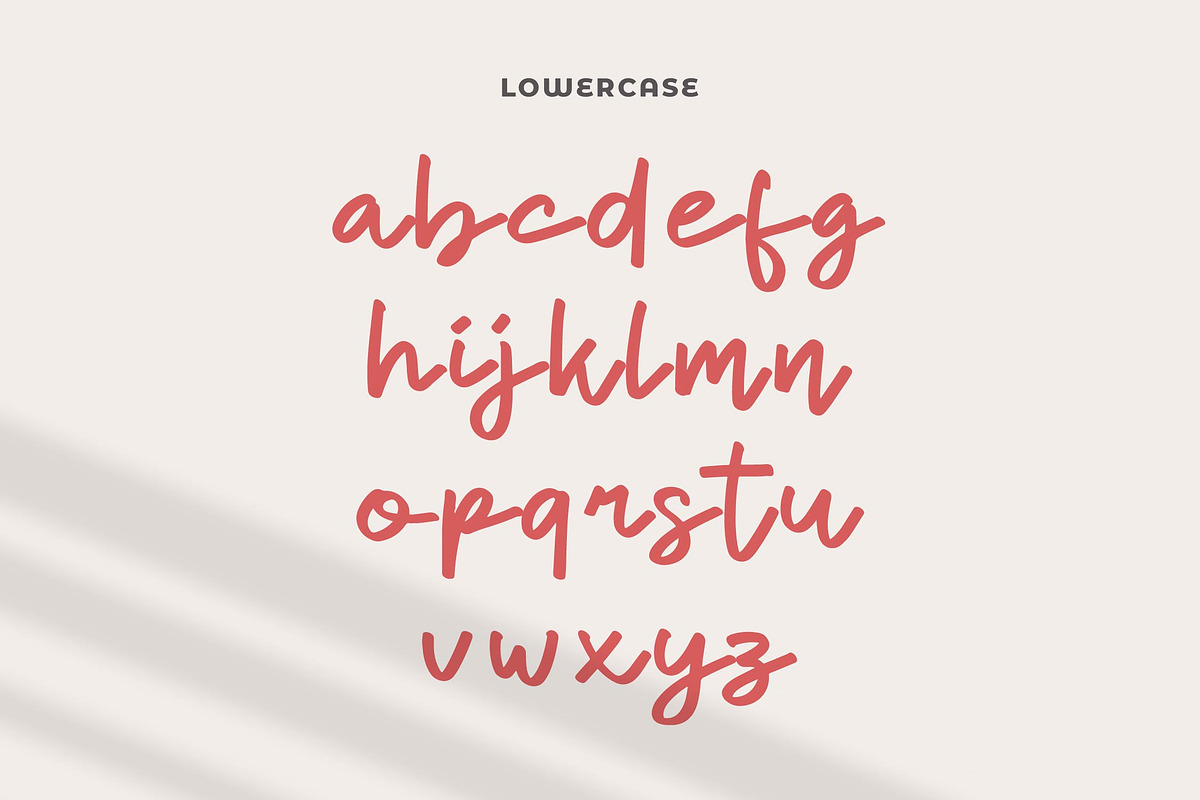Dhel Fyn | Handwriting Script Font, a Script Font by gracetype_studio (Photo 10 of 13)