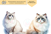 Cat Breeds PNG Bundle Cats Clipart, an Animal Illustration by VM PARTYS  BY TAIRUMA (Thumbnail 4 of 10)