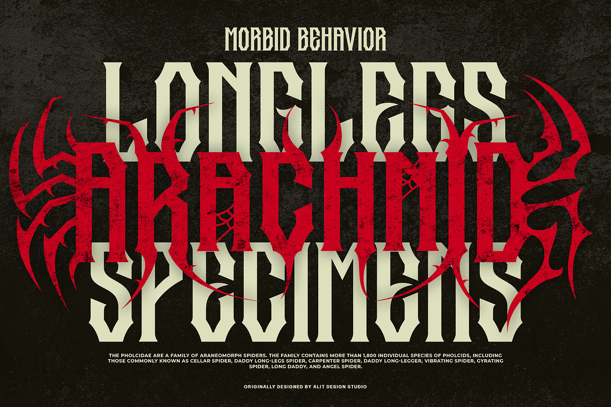 Spider Dead Typeface, a Blackletter Font by alit design (Photo 8 of 17)