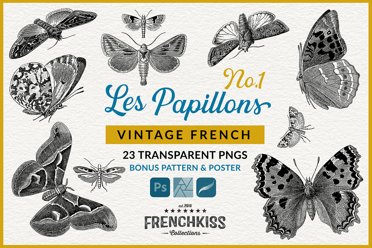 Les Papillons No 1, an Animal Illustration by French Kiss Collections (Photo 1 of 7)