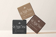 Elegant Modern - Fleurs Venotta, a Serif Font by Shakira Studio (Thumbnail 7 of 10)