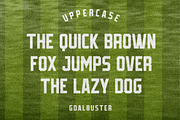Goalbuster Fonts, a Sans Serif Font by Alphabet Agency (Thumbnail 2 of 10)