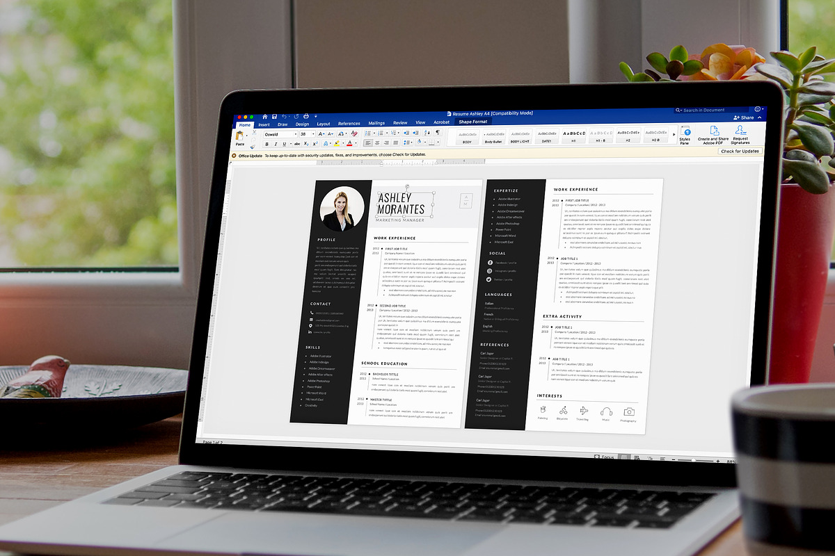 Resume Template Ashley, a Resume Template by Estartshop (Photo 7 of 7)