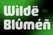 CS Cybera Disco, a Sans Serif Font by Craft Supply Co. (Thumbnail 6 of 8)