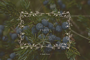 Autumn botanical hand-drawn graphics, a Decorative Illustration by Enia Grace (Thumbnail 11 of 11)