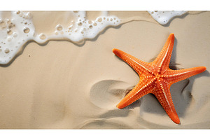 beach star fish ai generated, an Animal Photo by pikepicture