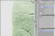 Spinach from above, an Object Graphic by Hortimages (Thumbnail 2 of 2)