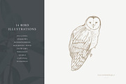 Bird Illustrations: Vector Pack, an Illustration by Sarah Ann Design (Thumbnail 3 of 6)