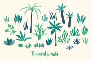 Tropical Plants. Elements & Pattern