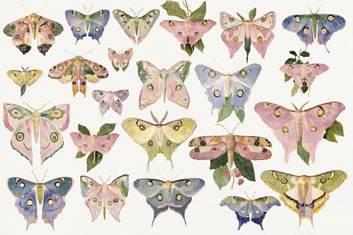 70 Watercolor Luna Moth Clipart, an Animal Illustration by Digital Museum (Photo 5 of 7)