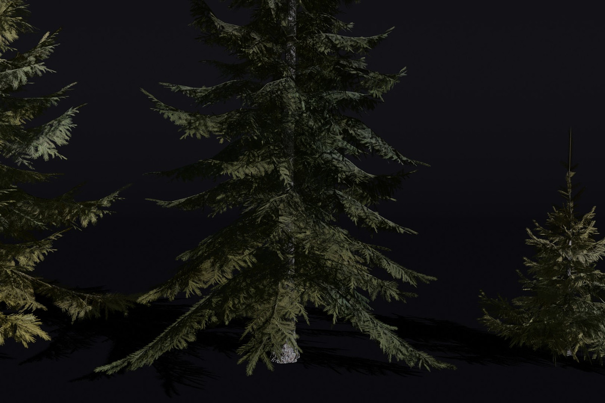 The Siberian Spruce Tree, a Plants & Tree 3D Model by FuturePastCreatives (Photo 2 of 6)
