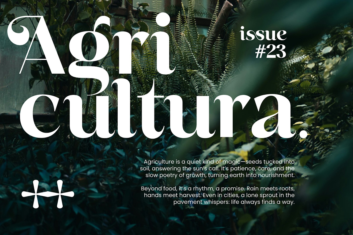 Basken Typeface, a Sans Serif Font by Megatype (Photo 3 of 11)