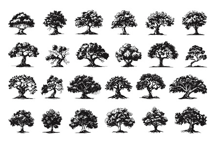 Young and Old Oak Trees Icon Set, an Object Illustration by LadadikArt