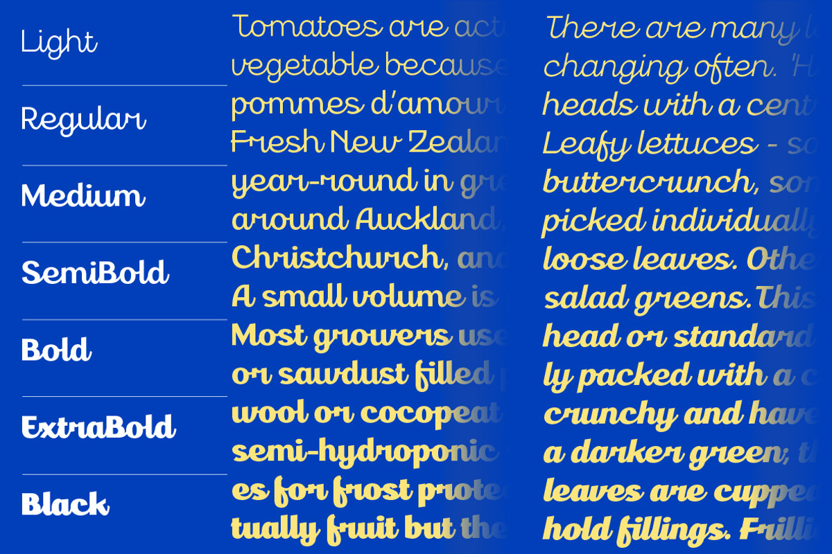 Gestura - Modern Script Font Family, a Script Font by Namela Studio (Photo 2 of 6)