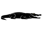 Crocodile Alligator Vector Bundle, an Illustration by jahid234 (Thumbnail 33 of 51)