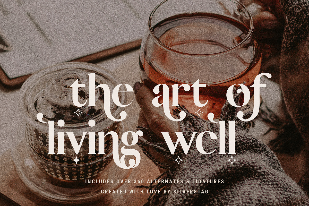 Vicky Christina Ligature Serif Font, a Serif Font by SilverStag Type Foundry (Photo 12 of 25)