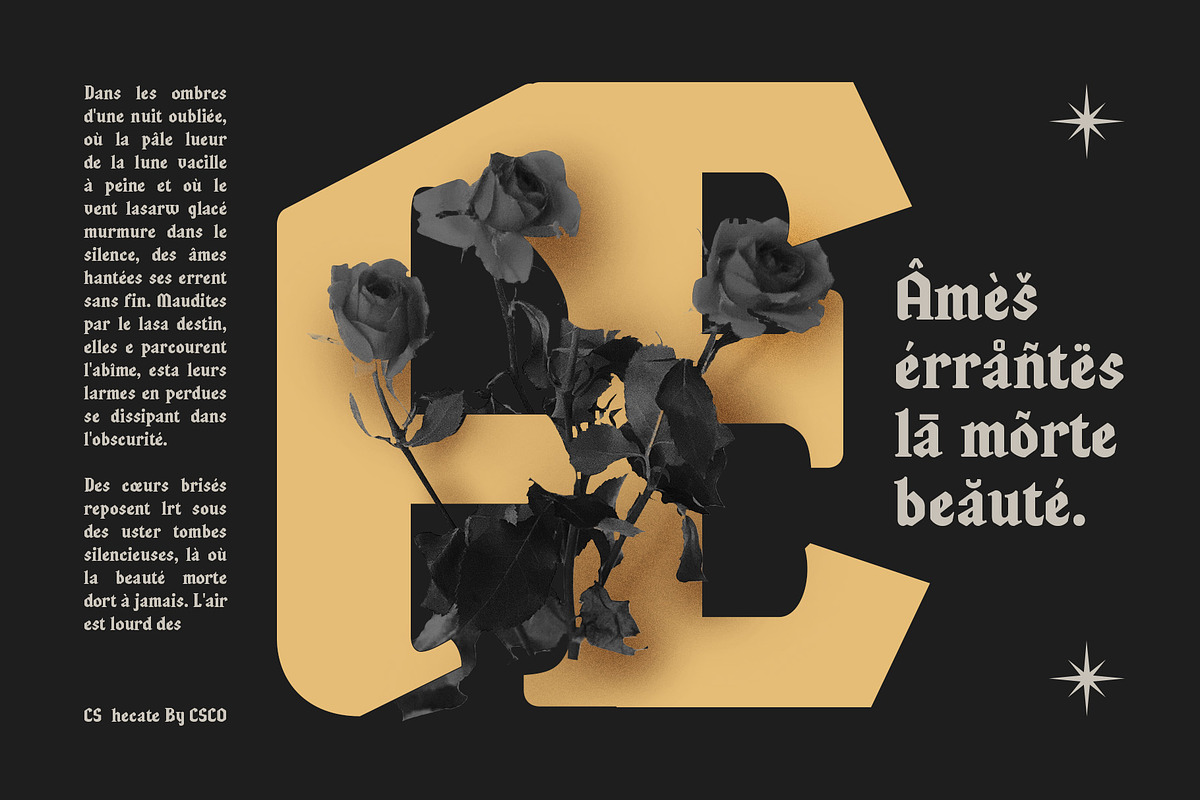 CS Hecate – Renaissance Font, a Serif Font by Craft Supply Co. (Photo 4 of 8)