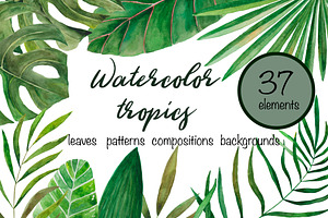 Amazonia. Tropical leaves