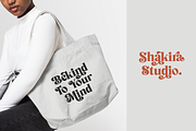 Signature Mango - Modern Retro Font, a Serif Font by Shakira Studio (Thumbnail 15 of 18)