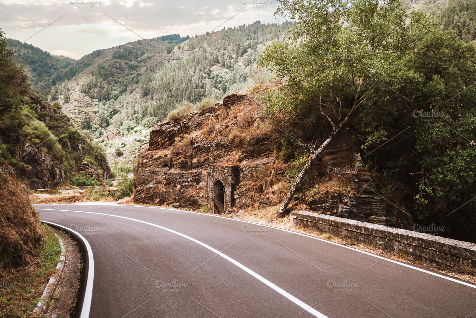 Curved road in Asturias, a Transportation Photo by SkyNext