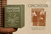 Thane Lantera - Old Press Print, a Serif Font by Setara Langit CreativeStd (Thumbnail 11 of 14)