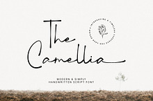 The Camellia - Modern Handwritten