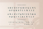 Bahena – Elegant Display Serif Font, a Serif Font by BrandSemut (Thumbnail 9 of 10)