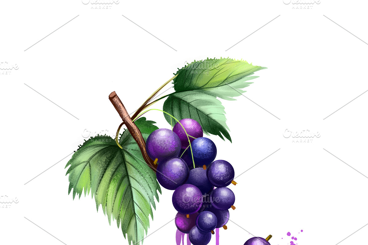 Set culinary fruits part 2, an Object Graphic by Dneprstock (Photo 2 of 3)
