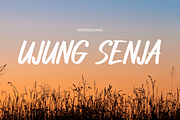 Ujung Senja, a Sans Serif Font by Pinisi ART (Thumbnail 1 of 10)
