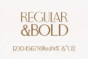 Adele Moon Serif Font + Extras, a Serif Font by Creator Goodies (Thumbnail 14 of 17)