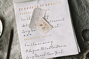 Paris 1920 Script & Sans, a Script Font by BlueRobinDesignShop (Thumbnail 5 of 10)