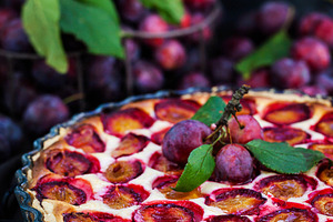 Fresh homemade plum tart, a Food & Drink Photo by Kate S