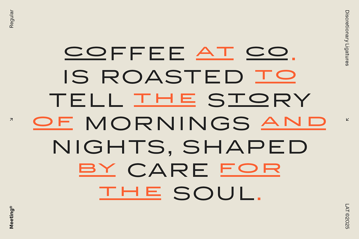 Meeting, a Sans Serif Font by Los Andes Type (Photo 5 of 11)