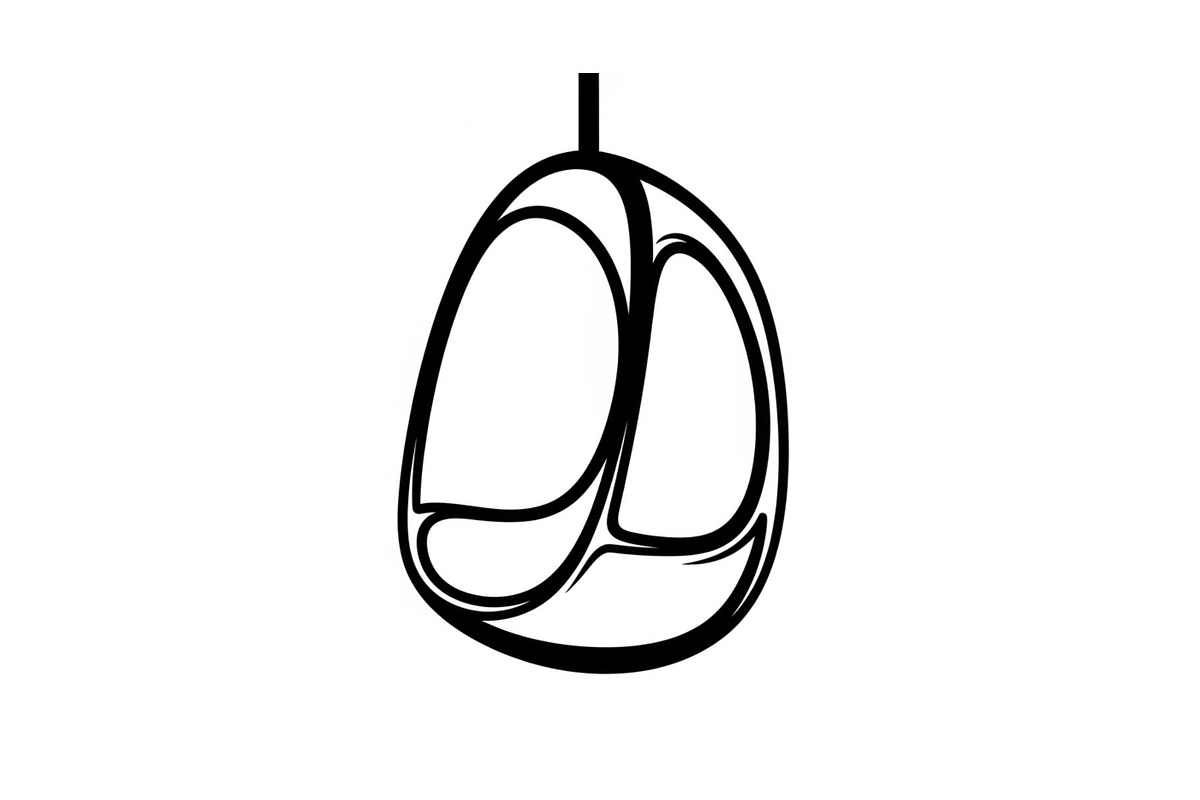 Hanging Egg Chair Silhouette Bundle, an Illustration by Designer_Momina (Photo 29 of 51)