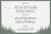 Mystic Forest - Distressed Font, a Font by Typefactoryco (Thumbnail 2 of 8)