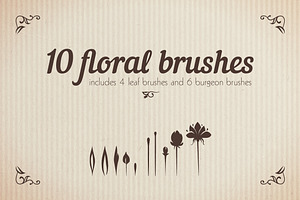 Floral Brushes Illustrator Set