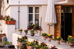 Rural yard with flowering plants, an Architecture Photo by Anna Bogush
