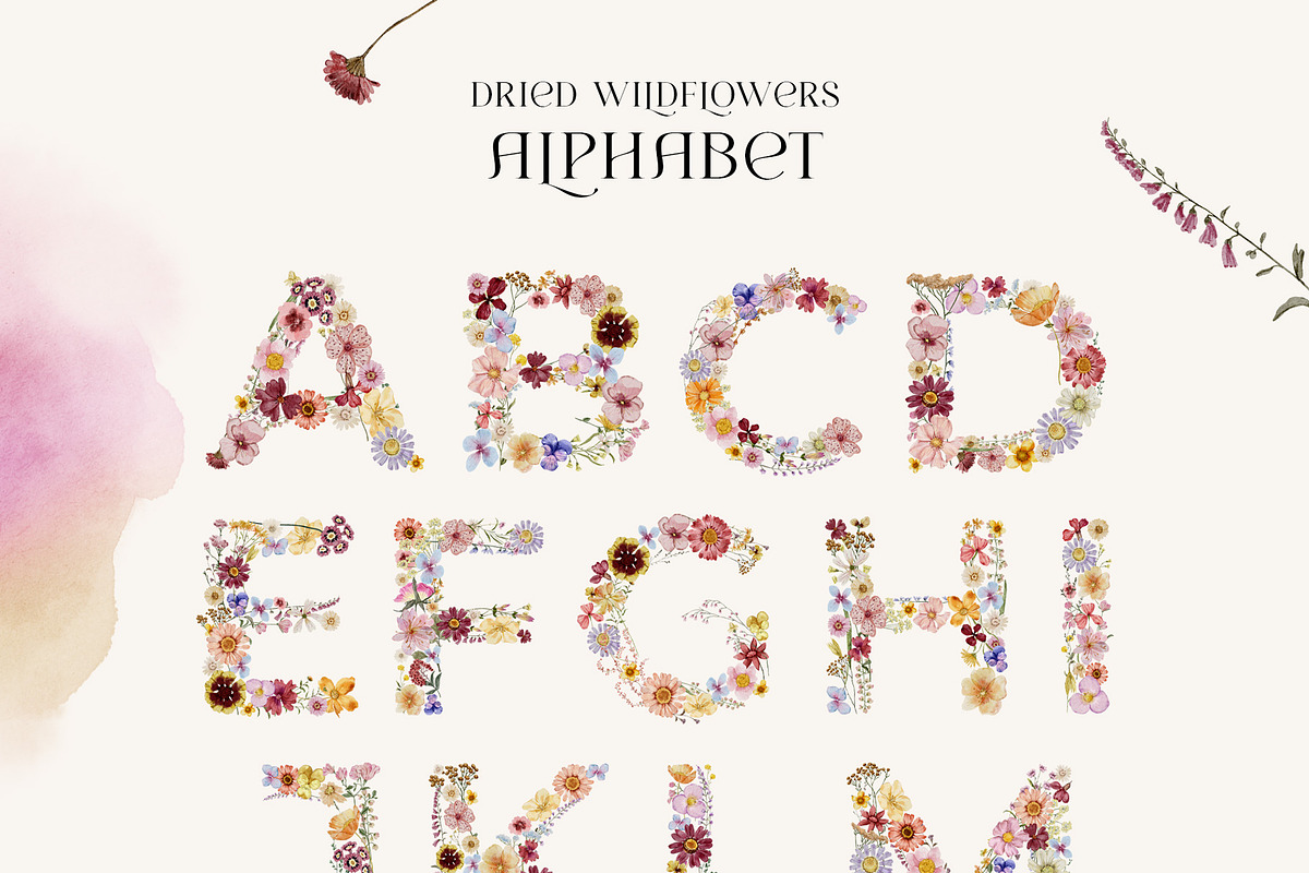 Dried Wildflowers - watercolor flora, an Illustration by SunnyAfternoons (Photo 8 of 15)