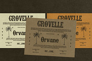 Vandora, a Serif Font by addictype (Thumbnail 7 of 10)