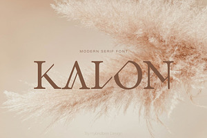 KALON – Serif Font