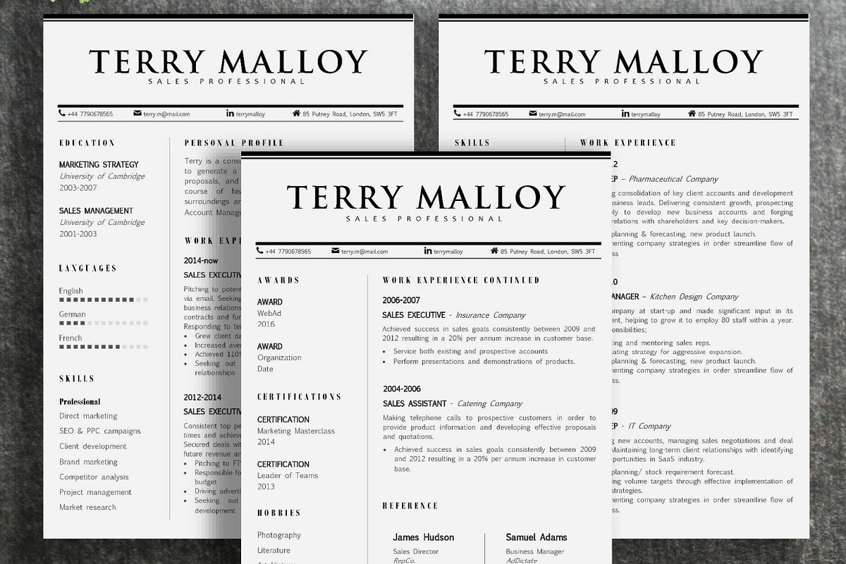 Resume Template | Terry, a Resume Template by ResumeWorkshop (Photo 3 of 5)